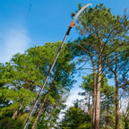 14FT Pole Saw for Tree Trimming 2-in-1 Hand Saw Steel Blade Extension Pole