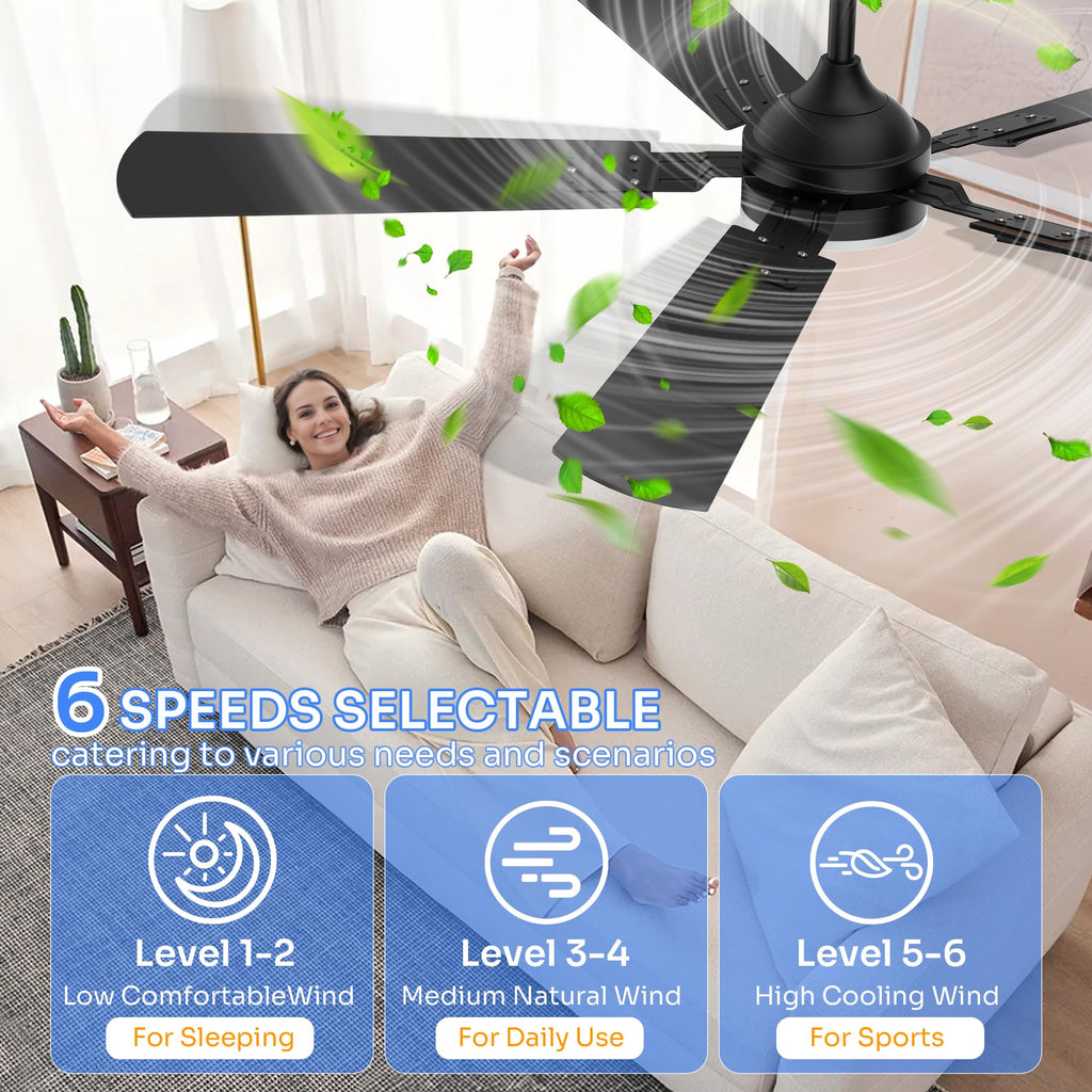 Crazypai Ceiling Fans with Lights, 52 Inch Modern Ceiling Fans with Lights and Remote Control, DC Reversible Motor, Noiseless, 3CCT, Ceiling Fan for Bedroom, Living Room, Apartment Indoor/Outdoor Use
