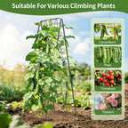 100% Metal Cucumber Trellis for Raised Bed,62"x17" A-Shape Garden Plant Support for Climbing Plants, Heavy Duty Metal Garden Trellises Plant Support for Vine Vegetables Outdoor (Black, 62x17inch(H*W))