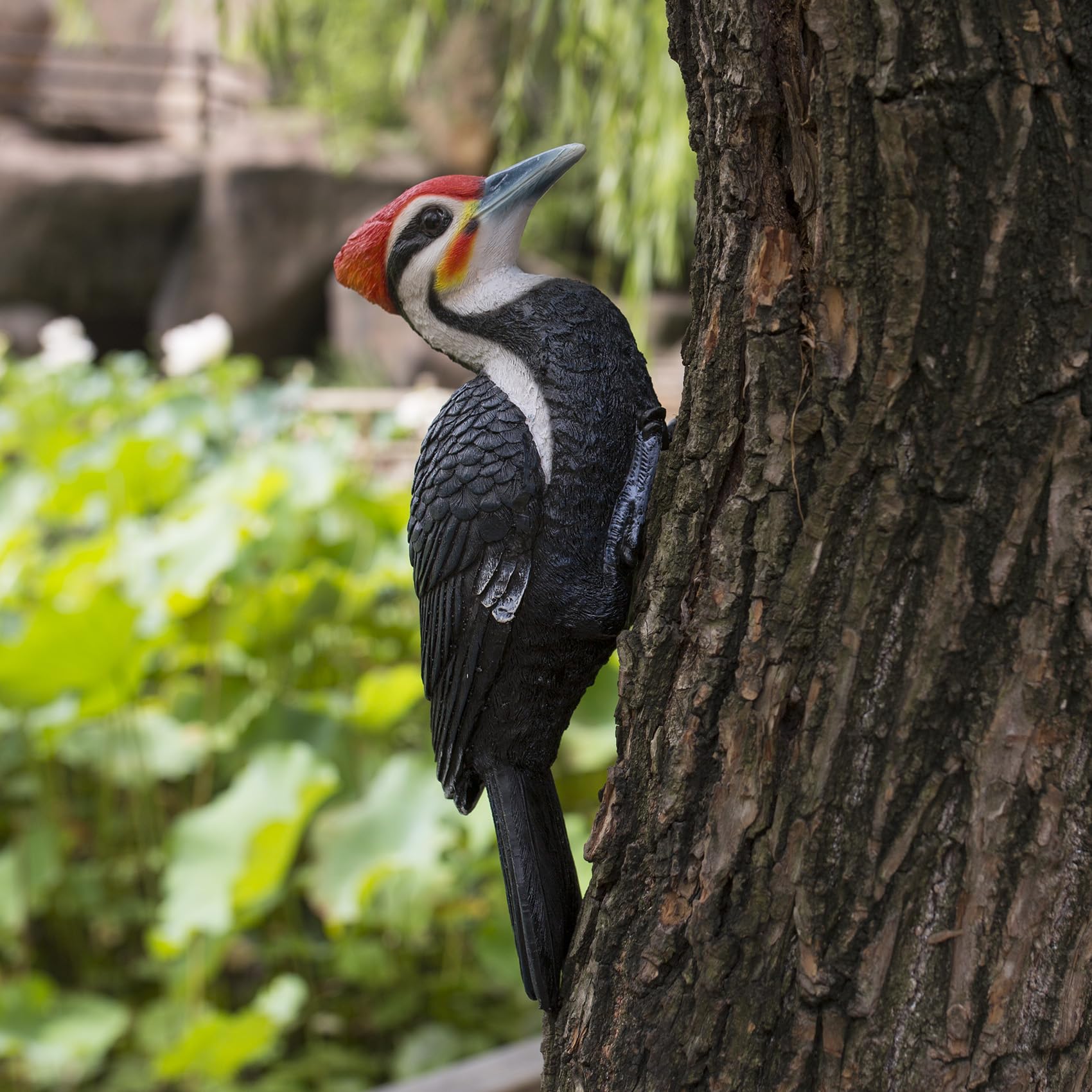 Simulated woodpecker sculpture outdoor resin bird statue, hanging tropical bird, Black-bellied Woodpecker sculpture perfect courtyard decoration, outdoor, courtyard, tree trunk,Large size: 11 inches