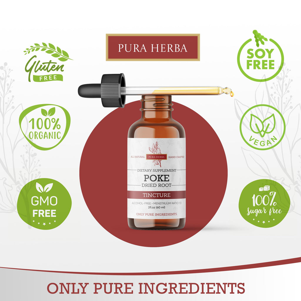 Pura Herba Organic Poke Root Tincture | Poke Root Extract Liquid | Herbal Supplement for Immune Support & Lymphatic Health | Vegan | Alcohol-Free | Non-GMO | Made in USA | 2 Fl Oz