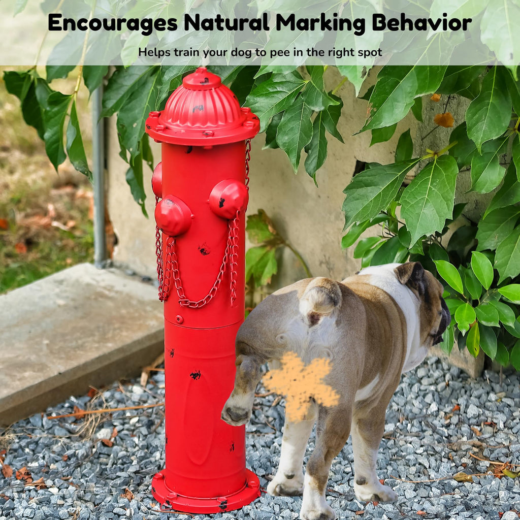 CaliDecor Fire Hydrant for Dogs to Pee On 24" Dog Fire Hydrant Pee Post