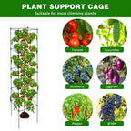 LAKNUAL 6 Packs Tomato Cages for Garden, 12"×12"×56" Plant Support Cage with Different Spacing, Green Metal Trellis for Climbing Plants Like Cucumber, Flowers