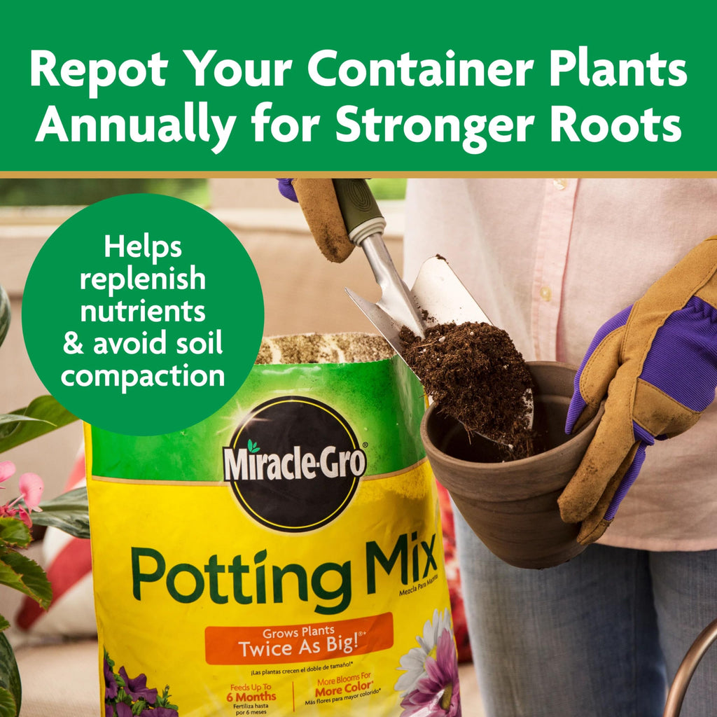 Miracle-Gro Potting Mix, 16 qt. (2-Pack)