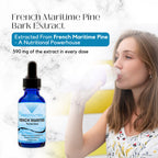 Absonutrix French Maritime Pine Bark Extract 590 mg, 4 Fl Oz Drops - 200 Servings, Bioavailability, Easy-to-Consume, Cruelty-Free, Vegetarian, Third-Party Tested, Non-GMO, Made in USA