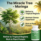 Top Nurex Moringa Capsules, Sustained Energy, Immune Support & Digestive Wellness, Natural Green Superfood Supplement, Vegan, Non-GMO 60 Capsules