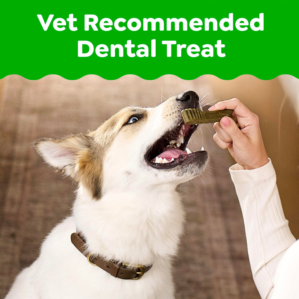 Greenies Regular Dental Dog Treats, Original Chicken Flavor, 54 Count