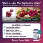 ULTALIFE Blood Pressure Supplements - Advanced Blood Pressure Supplement Complex - Hawthorn Berry, Hibiscus, Garlic, Forskolin - 14 Vitamins & Herbs, 30 Day Supply in Veggie Capsules