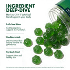 Secret Element Sea Moss Gummies 1300MG for Women and Men, Irish Sea Moss with Bladderwrack & Burdock Root, Vegan Sea Moss Gummies, Sugar Free, Non-GMO, Apple Flavor, 60 Gummies