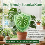 (2 pack) Succinic Acid for Plants - Amber & Ascorbic Acid Biostimulant for Orchids, Indoor Houseplants & Garden - Root Growth Stimulator, Transplant Shock Reducer - 160 Water-Soluble Tabs (250mg)