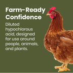 Good Salt Pet Fresh Nest Egg Wash, Natural Cleaner for Freshly Laid Eggs, Made in the USA, 1 Gallon Bottle
