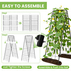 Garden Trellis for Cucumbers, 50 x 16 Inch Adjustable A-Frame Plant Support for Climbing Plants Outdoor, Vegetable, Flowers, Heavy Duty 1cm Metal Vegetable Trellis for Backyard, Raised Bed, Patio