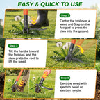 RexWeed Stand Up Weed Puller Tool, 4-Claw Steel Head Deep Root Extractor with Dual-Eject Design, Real Bamboo Long Handle & Metal Anti-Slip Pedal, No Bending Dandelion Remover for Garden Lawn Yard