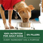 Purina ONE Plus Small Breed High Protein Dry Dog Food, Lamb, 7.4 lb Bag