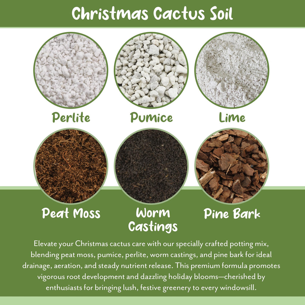 Soil Sunrise Christmas Cactus Potting Soil Mix (4 Quarts) Custom Blend for Xmas, Easter, and Thanksgiving Cactus Tropical Indoor Houseplants
