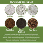 Soil Sunrise Christmas Cactus Potting Soil Mix (4 Quarts) Custom Blend for Xmas, Easter, and Thanksgiving Cactus Tropical Indoor Houseplants