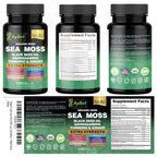 Organic Irish Sea Moss Capsules 120 Count –16 in 1 Sea Moss Supplement with Black Seed Oil, Ashwagandha, Turmeric & Ginger, Bladderwrack & Burdock Root, Vitamin D3 –Organic, Vegan, Halal, Non-GMO