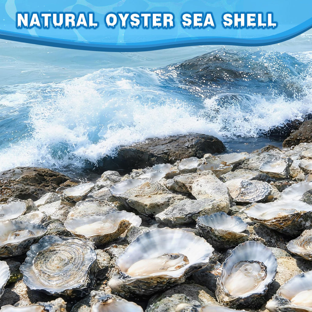 VMEECARL 30Pcs 4"-5" Concave Oyster Shells for Crafts Natural Large Oyster Shells for DIY Crafting Christmas Ornaments Decoupage Beach Decor Arts and Bulk Clam Shells Sea Shells for Crafts
