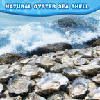 VMEECARL 30Pcs 4"-5" Concave Oyster Shells for Crafts Natural Large Oyster Shells for DIY Crafting Christmas Ornaments Decoupage Beach Decor Arts and Bulk Clam Shells Sea Shells for Crafts