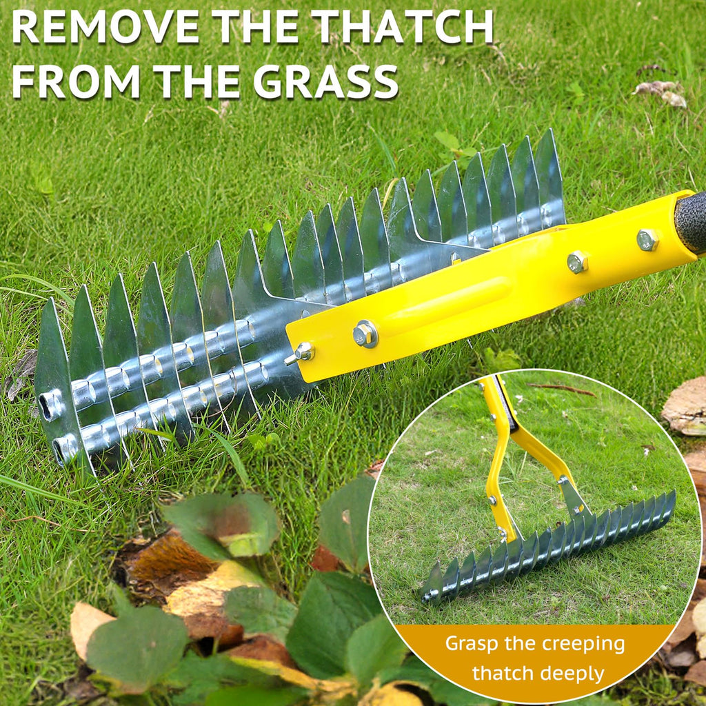 Thatch Rake, 15-Inch Steel Lawn Dethatcher with Handle, Heavy Duty Grass Cleaning Tool for Dead Grass and Soil Loosening, Versatile Yard and Garden Grooming (Black+Metallic Silver)