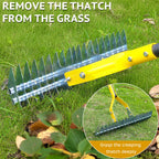 Thatch Rake, 15-Inch Steel Lawn Dethatcher with Handle, Heavy Duty Grass Cleaning Tool for Dead Grass and Soil Loosening, Versatile Yard and Garden Grooming (Black+Metallic Silver)