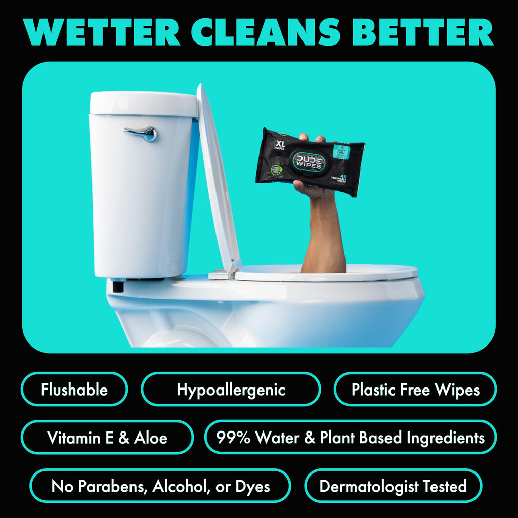 DUDE Wipes Mint Chill Adult Flushable Wet Wipes, Refreshing, 288 Count
