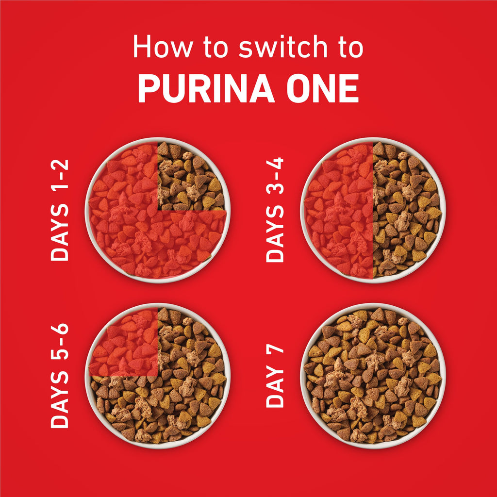Purina ONE Lamb and Rice Dry Dog Food, 8 lb Bag