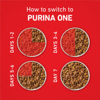 Purina ONE Lamb and Rice Dry Dog Food, 8 lb Bag