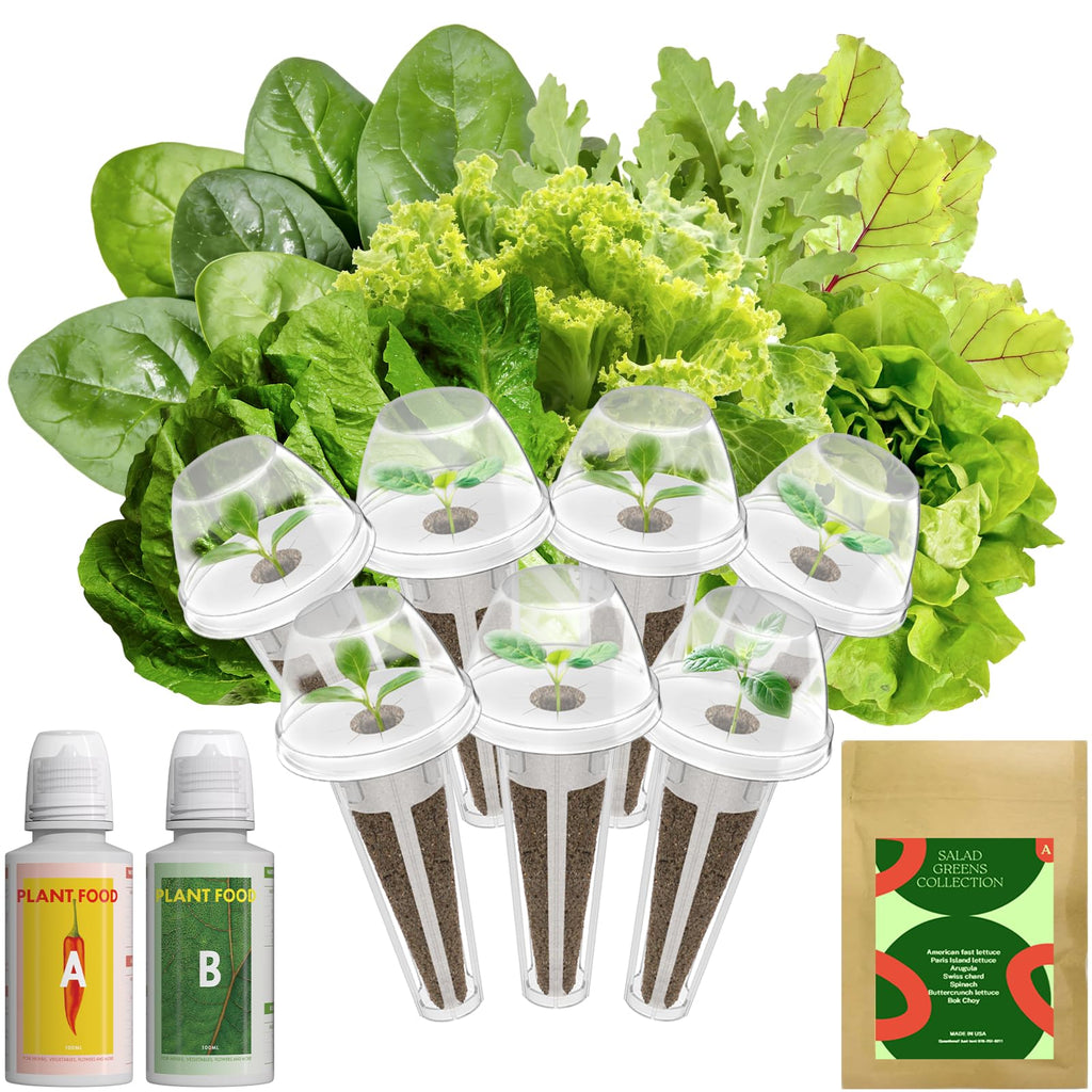Inbloom 7-Pods Salad Greens Seed Pod Kit for AeroGarden, Ahopegarden, Gardencube Hydroponic Garden with Spinach, Buttercrunch, Paris & American Lettuce, Swiss Chard, Arugula, Bok Choy - 350 Seeds