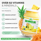 EverSmith Organics - Wildcrafted Irish Sea Moss Gel | Made in USA | Rich in Vitamins & Minerals | Sea Moss Gel Raw | Nutritional Supplement | Pineapple (16 oz)