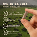 Heart & Soil – 100% Grass Fed & Finished Hair Skin and Nails Supplement from Regenerative Cattle with Cartilage, Liver, & Bone Marrow – 3000mg Beef Organs for Women & Men – Glass Bottle – 180 Capsules