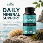 HerbaMe Organic Sea Moss Supplement with Bladderwrack & Burdock Root, Irish Moss with Black Pepper Extract, Daily Mineral Support for Energy & Wellness, Immune Support for Men & Women, 150 Capsules