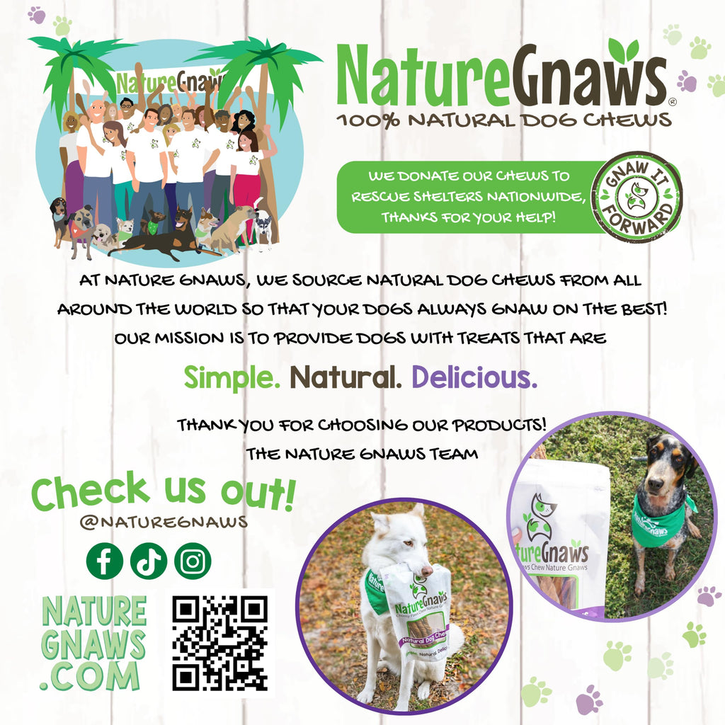 Nature Gnaws USA Turkey Tendons Dog Treats, 8 oz