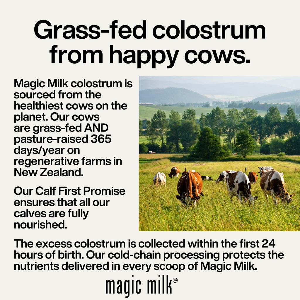 Magic Milk - New Zealand Grass-Fed Colostrum & Collagen | Supports Gut Health, Immunity, & Muscle Recovery | Bioactive Nutrients for Skin & Hair Health | Chocolate Milk Flavor | 20 Servings