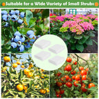 4Ft x 6Ft Blueberry Bush Netting Cover,Bird Netting for Blueberry Bushes