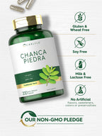 Carlyle Chanca Piedra Capsules | 500mg | 200 Count | Traditional Herb | Non-GMO and Gluten Free Supplement