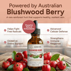 Aussie Pure Blushwood Berry EBC-46 Human Therapy Tincture – Immune & Cell Defense Supplement – Natural Antioxidant – Alcohol-Free, Vegan Glycerin Formula – Oral & Topical Use – 120ML