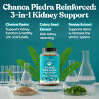 Chanca Piedra Stone Breaker - The Original Stone Breaking Formula with Celery Seed & Parsley - Supports Kidney, Gallbladder & Urinary Tract Cleansing to Help Flush Impurities - 60 Vegetarian Capsules