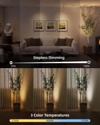 EZVALO 3-Pack Spotlight Indoor, Rechargeable Battery Picture Lights, Wireless Uplights with Remote, Dimmable, ⁠3 Color Temperatures⁠, Timer, Accent Lighting for Plants, Trees, Art, Displays