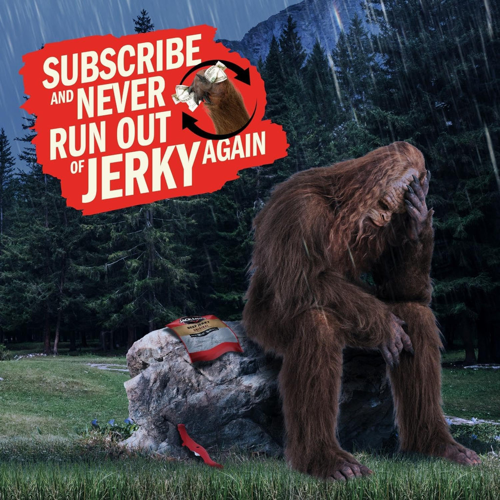 Jack Link's Beef Jerky Variety Pack - Original & Teriyaki - (9 Pack) 1.25 oz