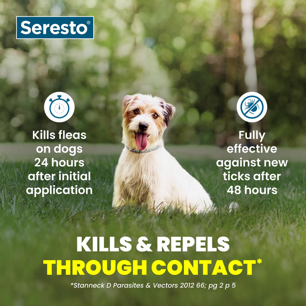 Seresto Small Dog Vet-Recommended Flea & Tick Treatment & Prevention Collar for Dogs Under 18 lbs | 8 Months Protection