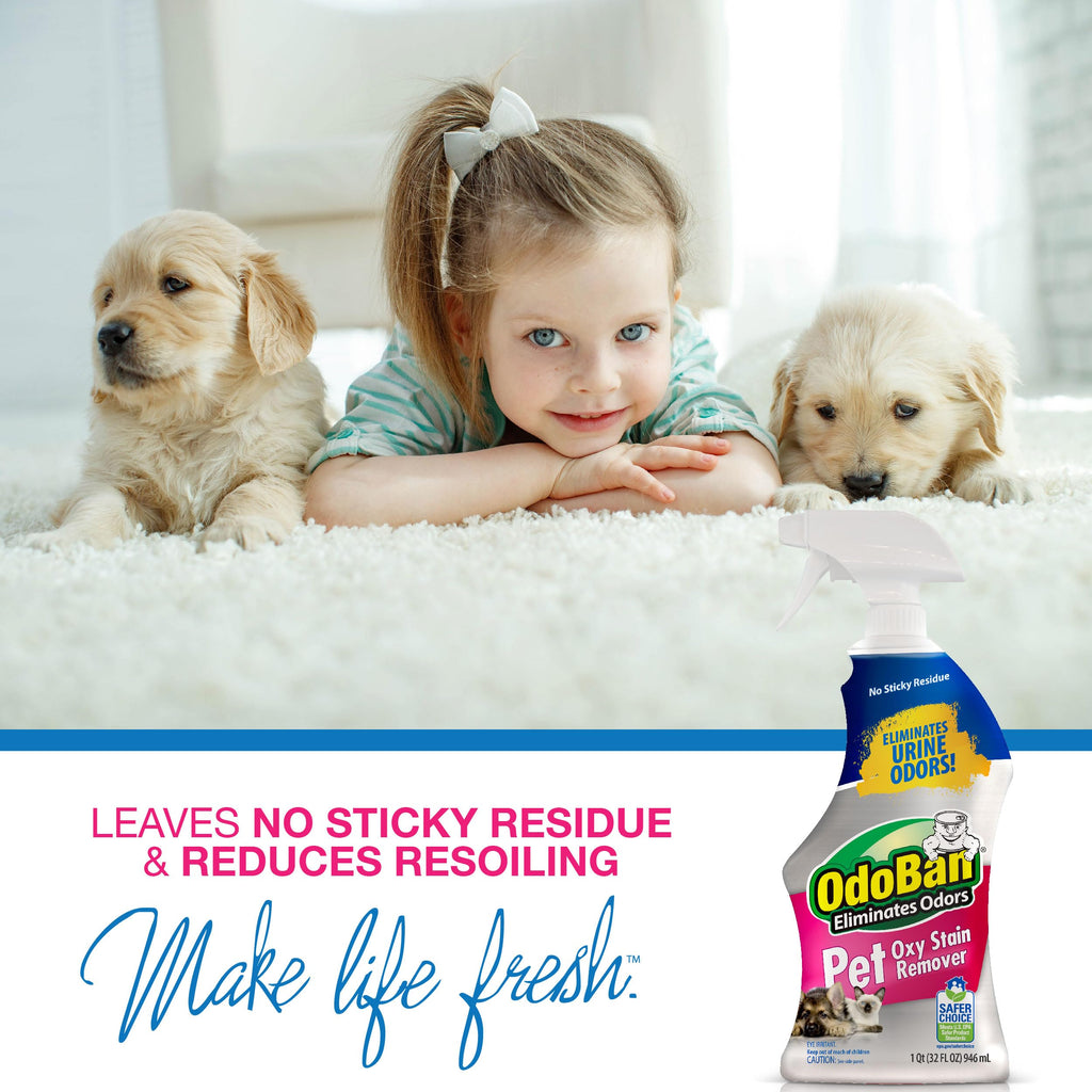 OdoBan Pet Solutions No Rinse Neutral pH Floor Cleaner Concentrate, Made in the USA, 1 Gallon, and Oxy Stain Remover, 32 Ounce Spray
