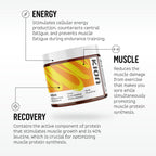 Kion Aminos Essential Amino Acids Powder - Amino Acid Nutritional Supplements, Aminos Powder, Essential Amino Energy No Caffeine, EAAs Amino Acids Powder, BCAA EAA - 30 Servings, Mango