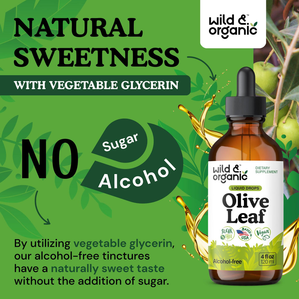 Olive Leaf Liquid Extract - Organic Olive Leaf Supplement for Immune Support - Vegan, Alcohol Free Tincture - 4 fl oz
