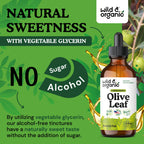 Olive Leaf Liquid Extract - Organic Olive Leaf Supplement for Immune Support - Vegan, Alcohol Free Tincture - 4 fl oz