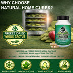 Natural Home Cures Nopal Cactus Capsules - Freeze Dried Prickly Pear Extract - Fiber Supplement for Metabolic Health Support - Rich in Betalains & Nitrates - Non-GMO - 120 Veggie Caps (1 Bottle)
