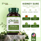 Dimmak Herbs Kidney Sure- Kidney Cleanse & Revitilization Tonic- Organic Herbal Support for Renal Health, Urinary Tract Flow & Vitality- TCM Doctor Formulated, Vegan- 400mg 100 Capsules