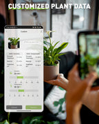 RAINPOINT Bluetooth 2-in-1 Soil Moisture & Air Temp Meter, App Remote Monitoring, 20 Plant Database, Compatible with WiFi Hub TWG009 & Water Timer ITV102b