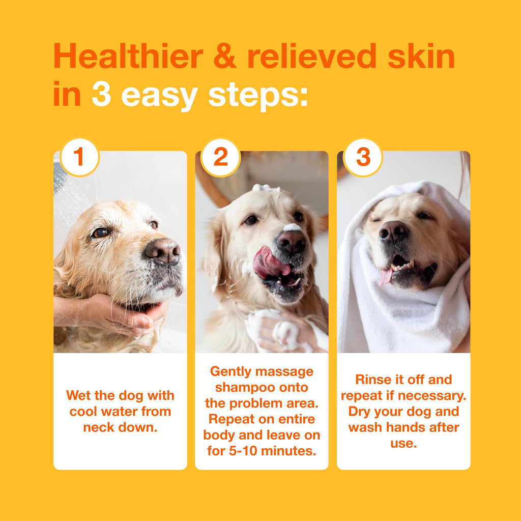 Douxo S3 PYO Chlorhexidine Shampoo For Dogs, Medicated Shampoo Antibacterial & Antiseptic, Yeast Infection Treatment for Dogs & Cats, Clinically Proven, 16.9 fl oz