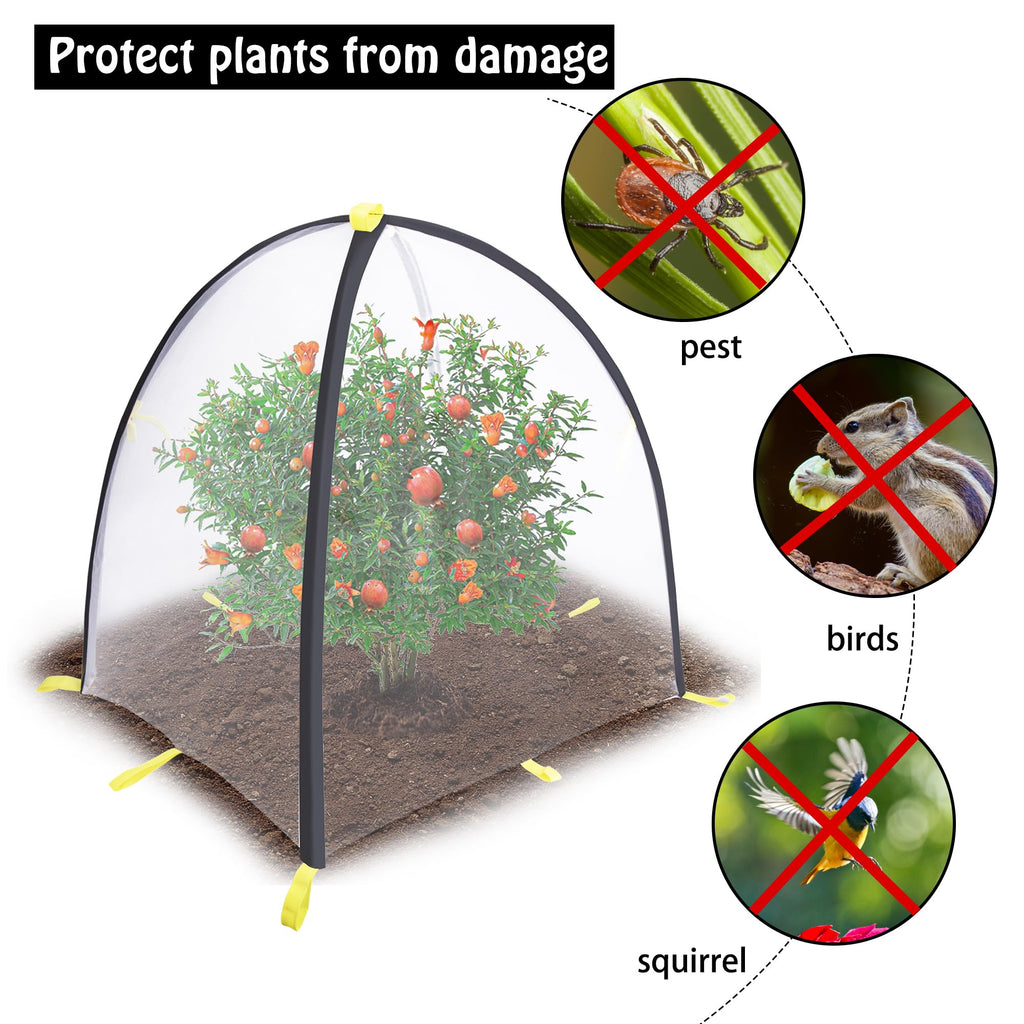 PURPLE STAR 1N 35 x35 x 39 Inch Insect Barrier Plant Tent Cover-Insect Bird Barrier Netting Mesh-Bug Guard Cover with Stakes for Protect Plants Fruits from Insect Bird Eating (1, L)